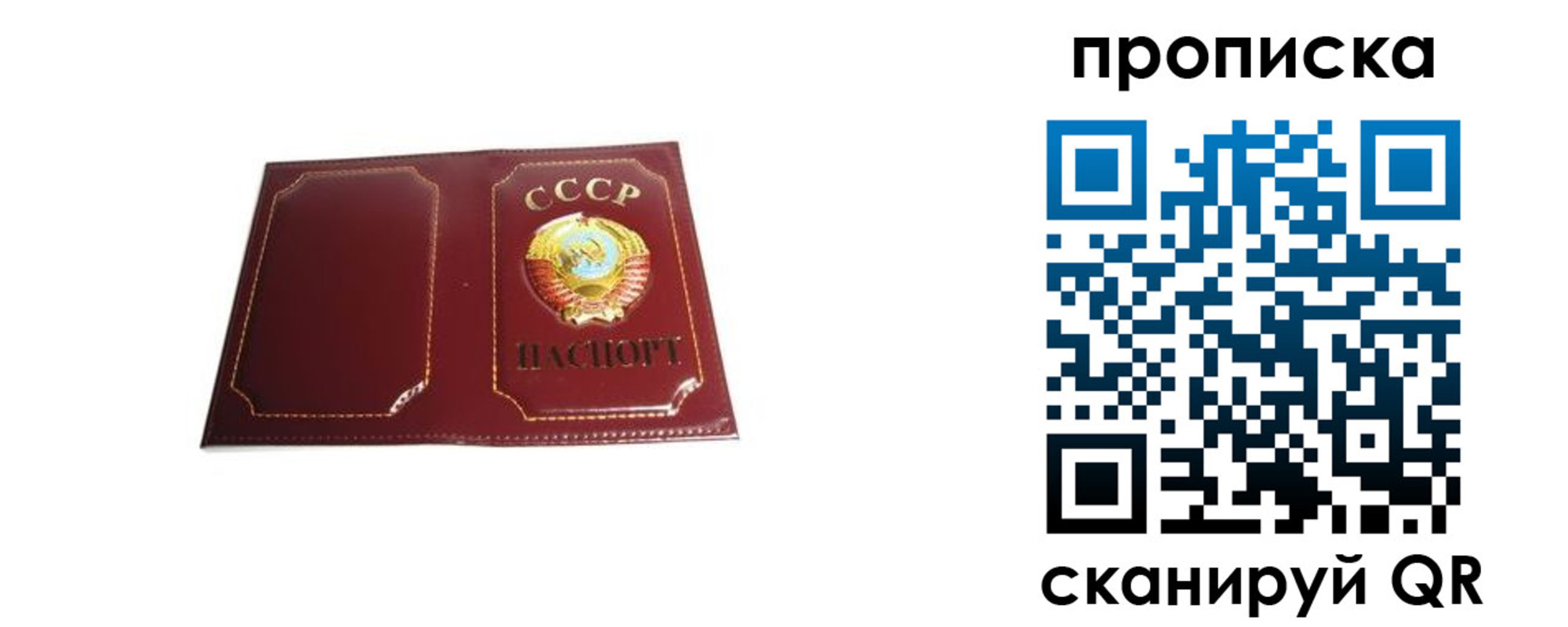 прописка гарантия в Тимашёвске